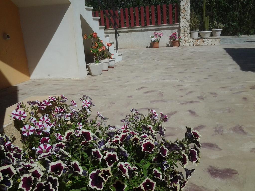 Kamarina Land Bed and Breakfast Santa Croce Camerina Exteriör bild
